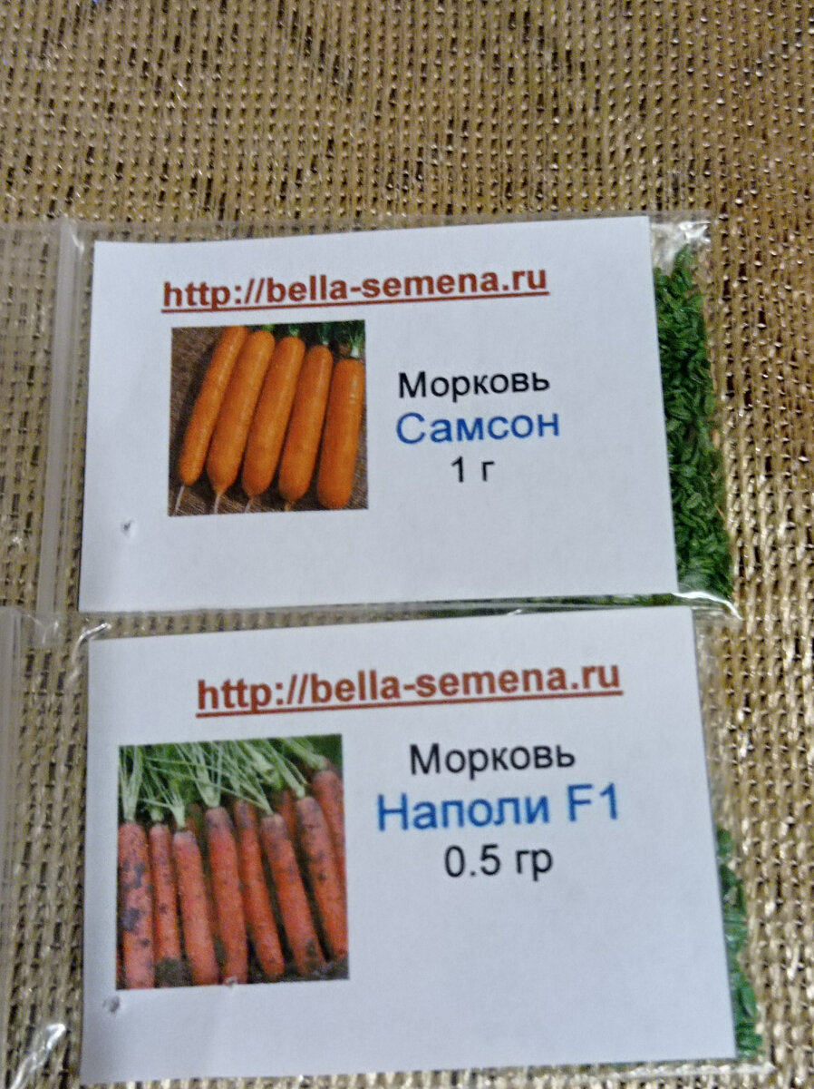 Белла ПРОФСЕМЕНА