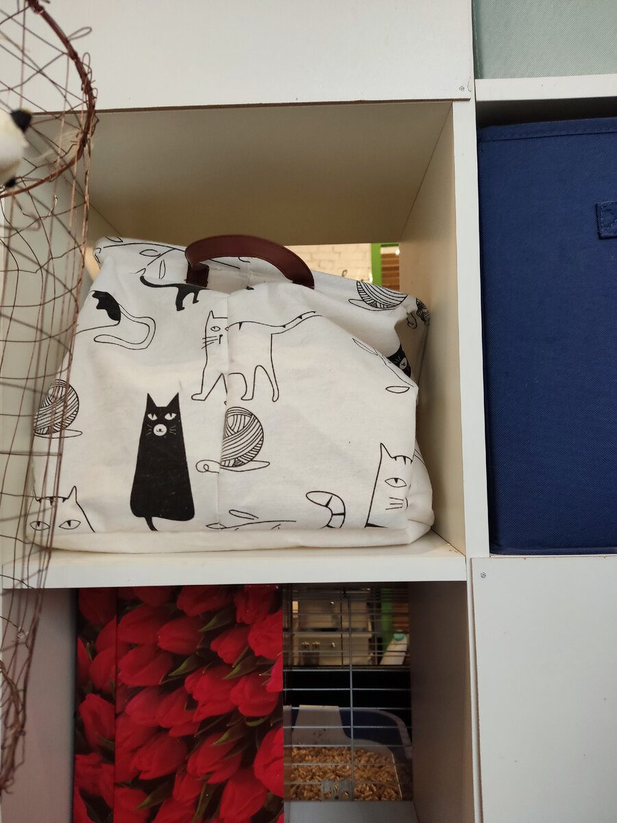 Уникальный проект для любителей кошек