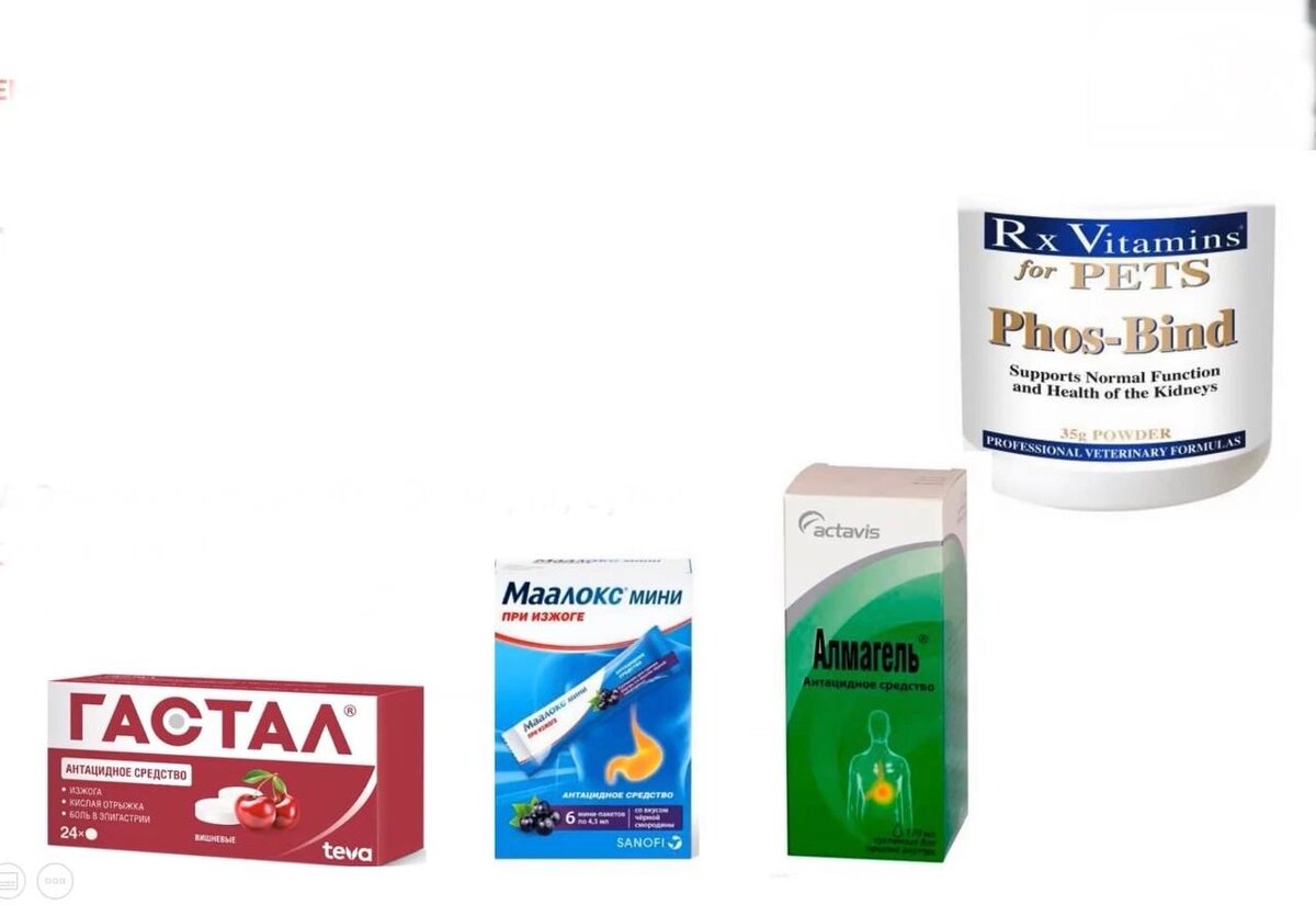 Фосфор при хпн. Фосфор при хпн. Противопоказания к назначению препаратов кальция. Стадии хбп у собак. Фосфор при хпн.