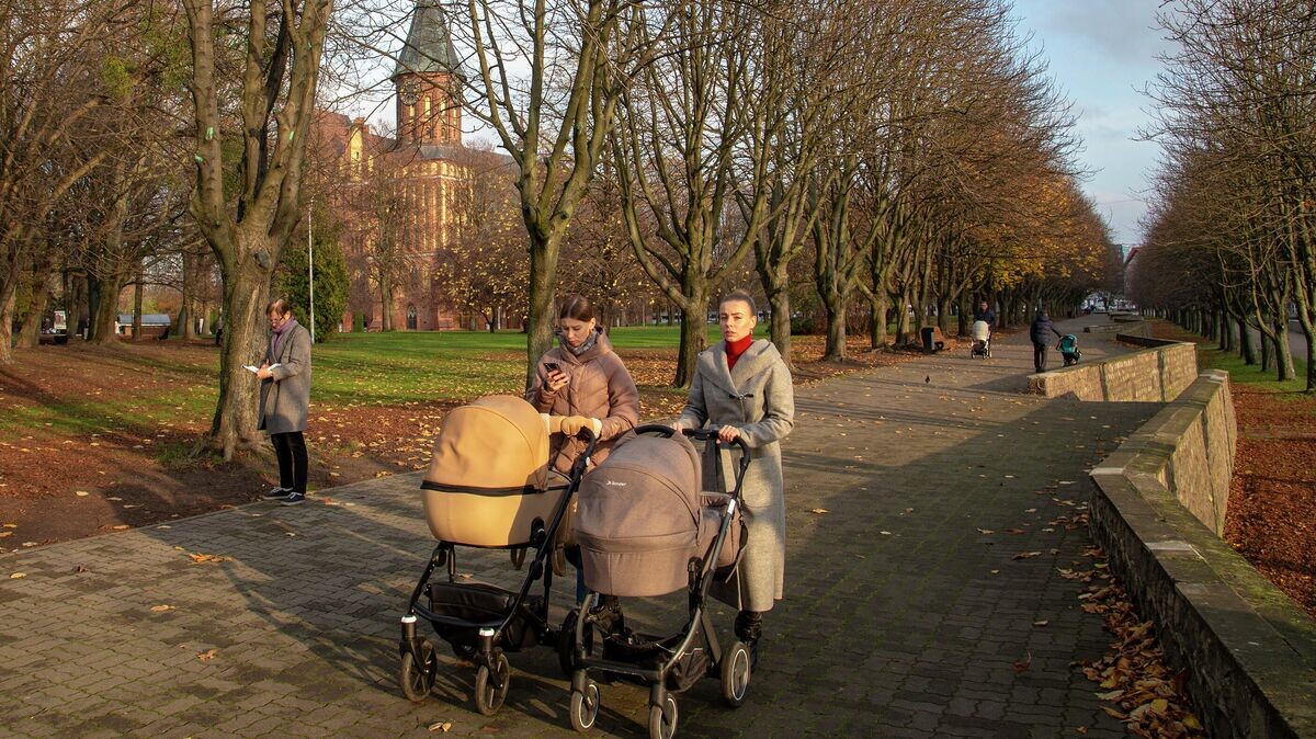    Горожане на прогулке в сквере© РИА Новости / Андрей Финтисов