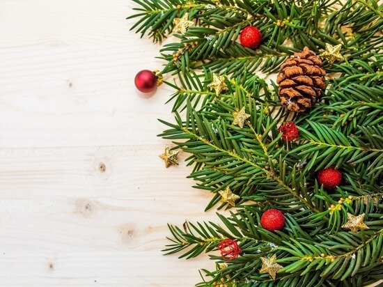     Изображение Pexels