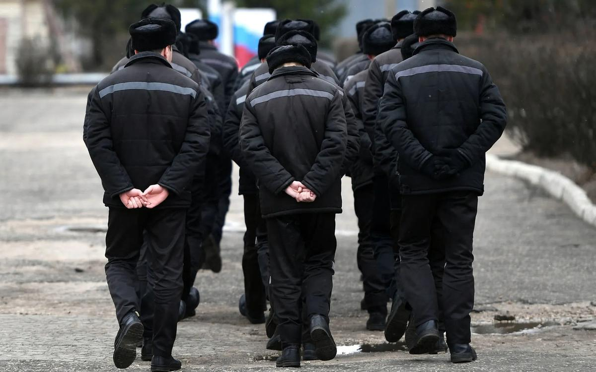 Яндекс картинки. Свободный доступ.