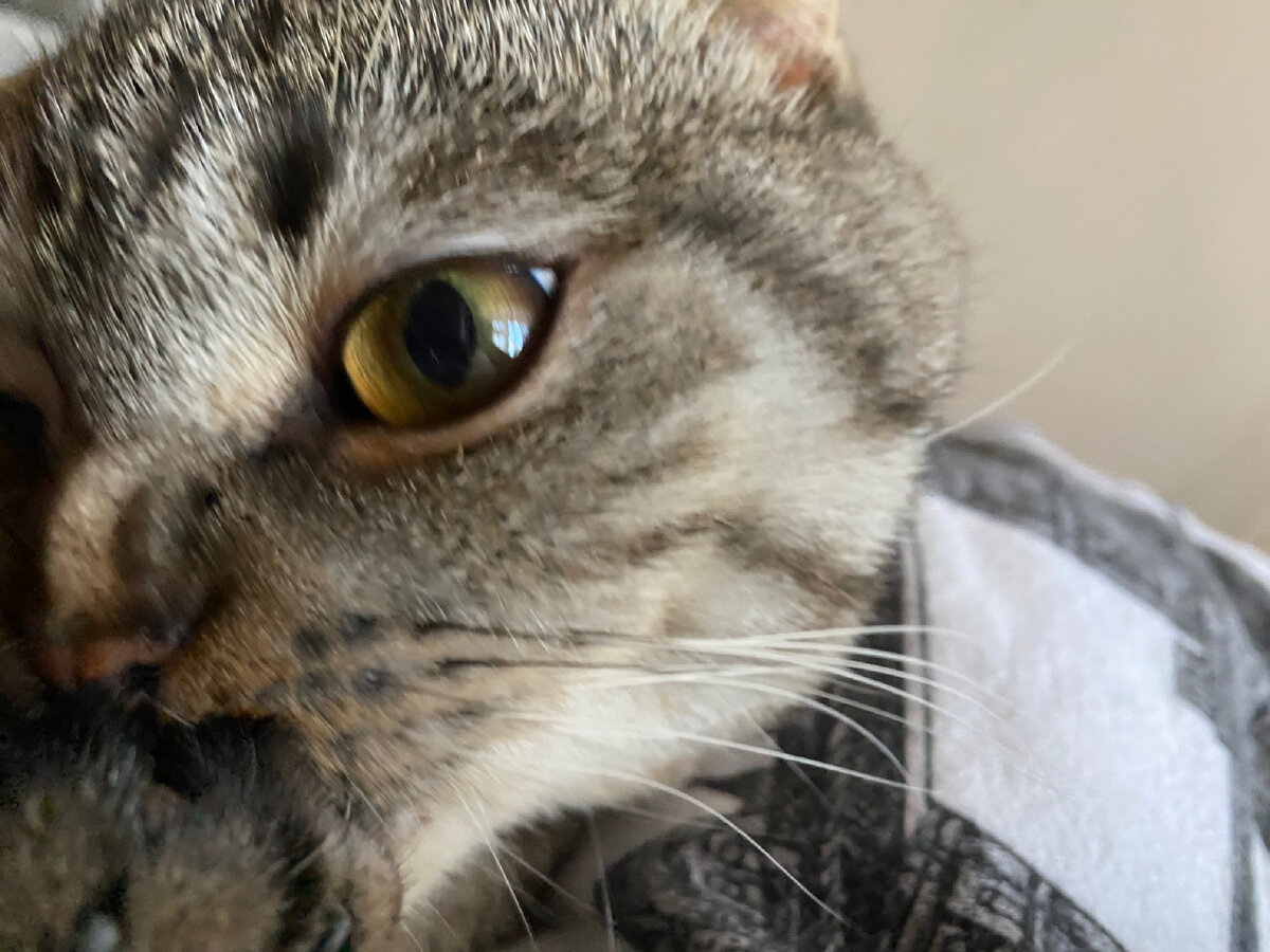 С подушкой весело получилось!!!!