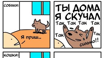 Кошки про взаимоотношения животных от разных авторов, против собак  8 смешных комиксов.