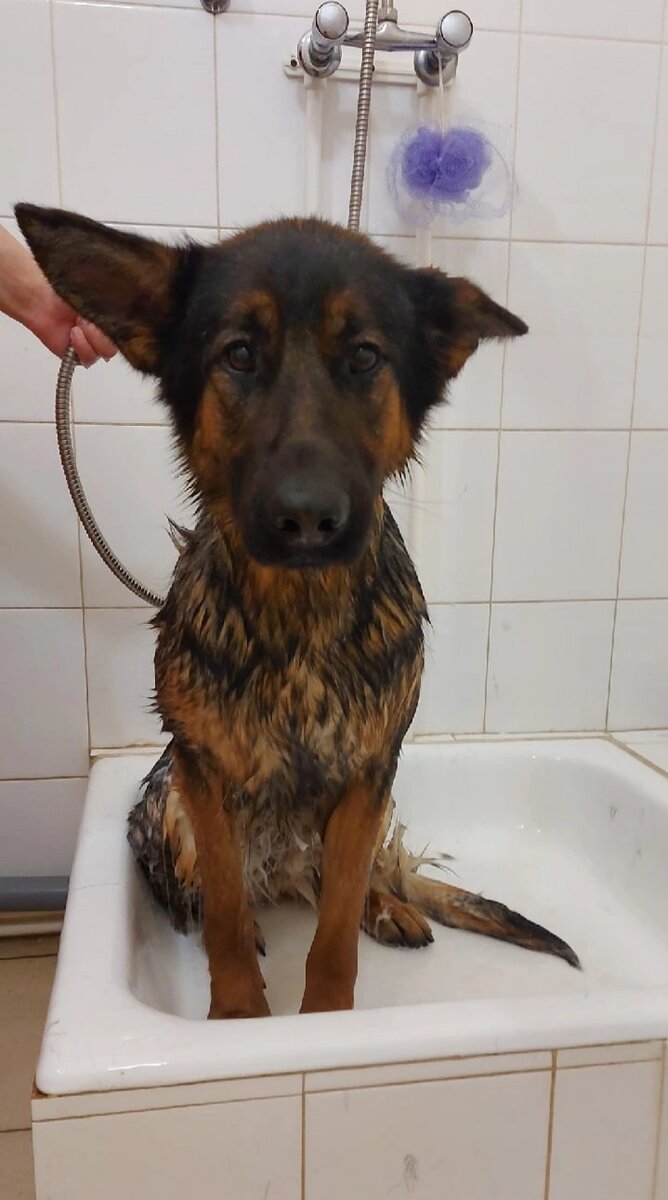 Малышка Туся ,принимала ванну 3 раз 