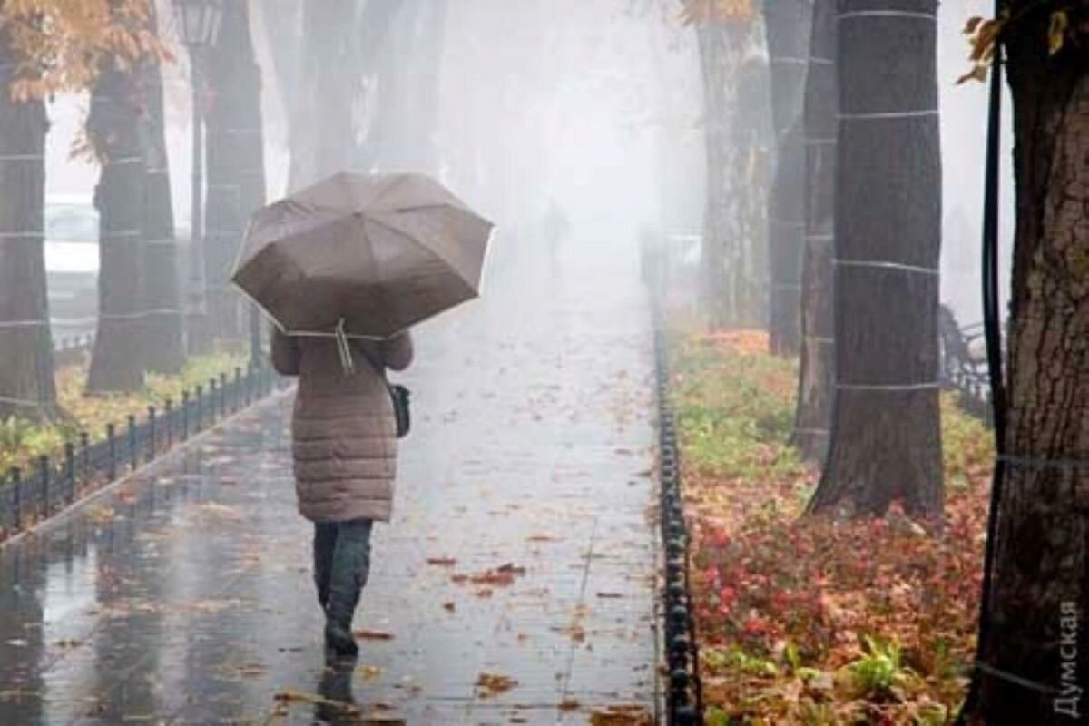 Поставь дождливый день. Пасмурный дождливый день. Осень дождь. Дождливый осенний день. Пасмурный осенний день.