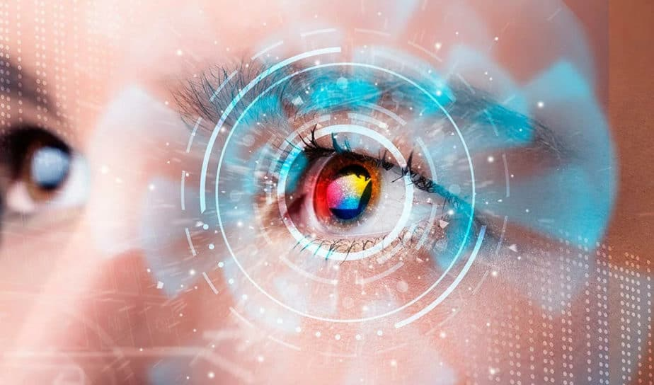 Сетчатка глаза @ roj.igb.ru