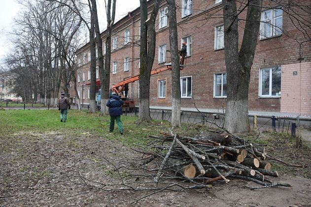    Устранение последствий урагана в Ярославле Мэрия Ярославля