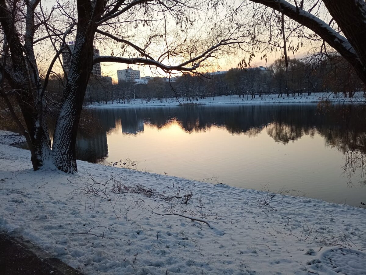 Снег выпал