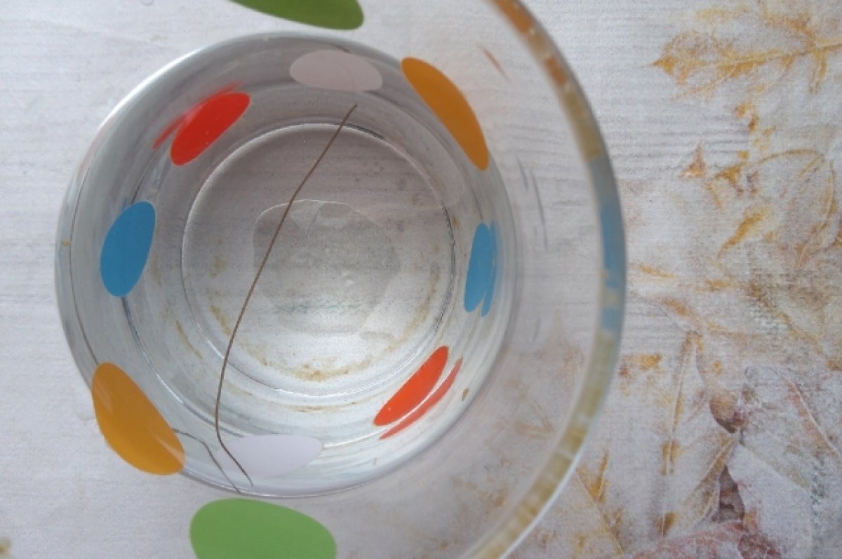    В Торжке местный житель снял на видео червя, который попал в кружку