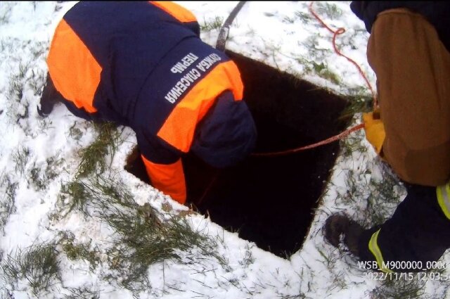    Спасатели вытянули животное наверх с помощью верёвки. Фото: Пермская городская служба спасения