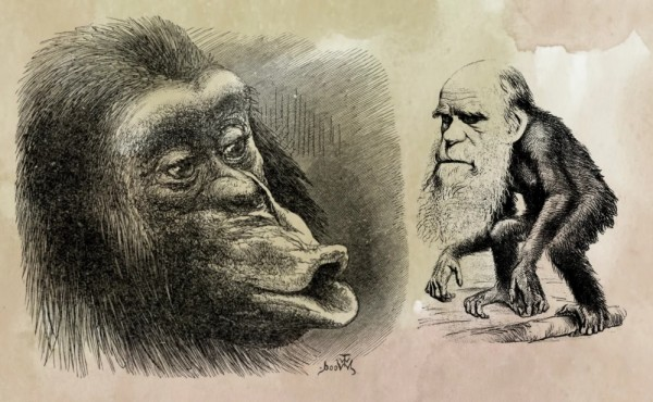 На самом деле только часть современного человечества имеет "обезьяньи" корни.