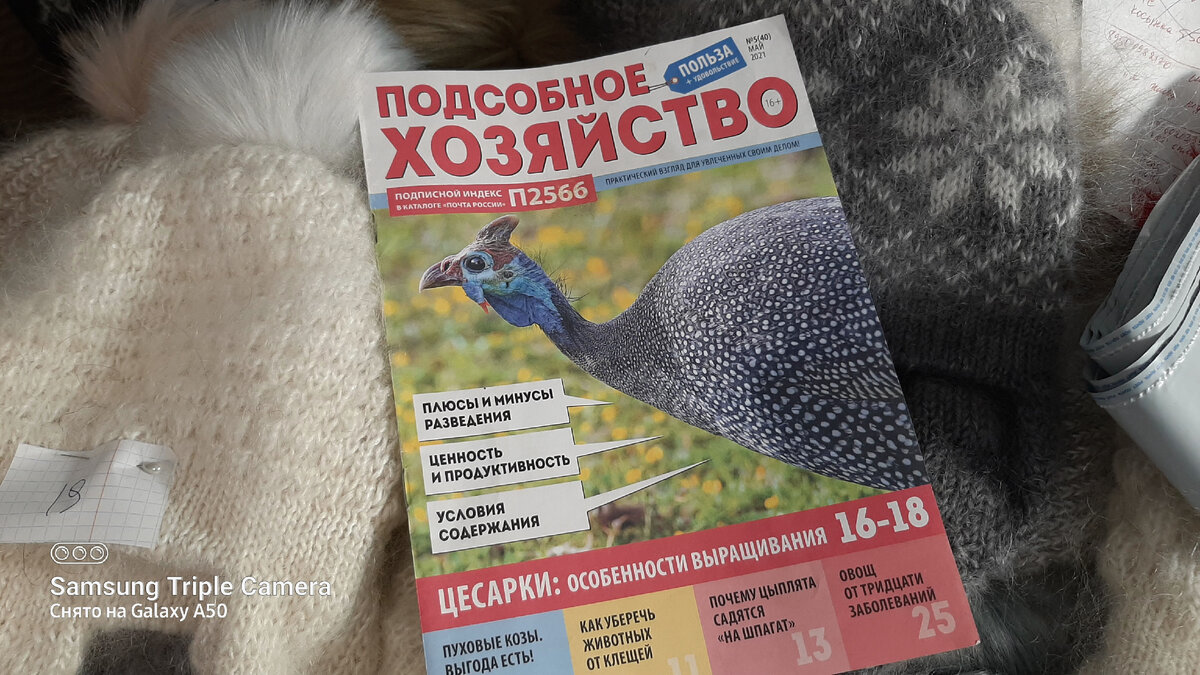 журнал со статьей