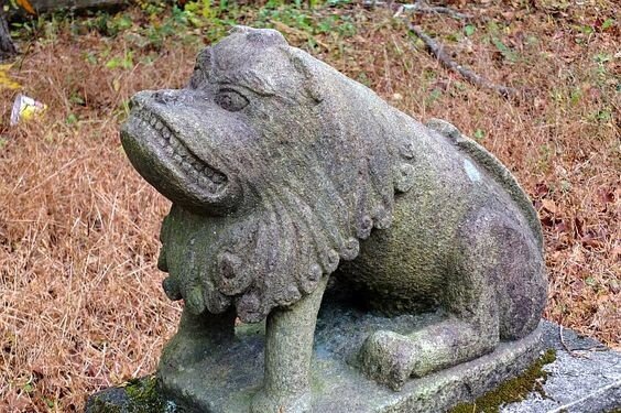 Угадай футболиста по фотографии