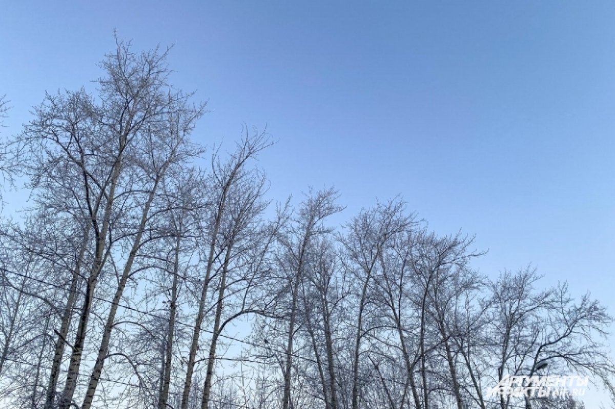    На новогодних праздниках в Новосибирск придут морозы до -40 градусов