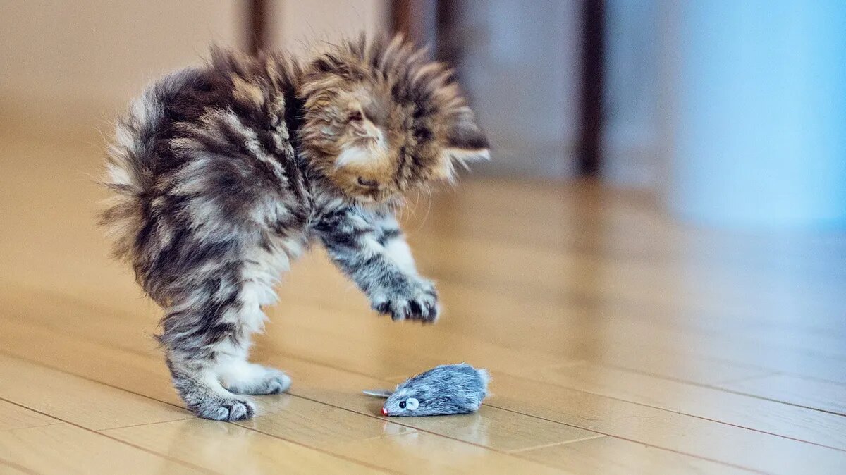 Охотник растет! Фото: Getty