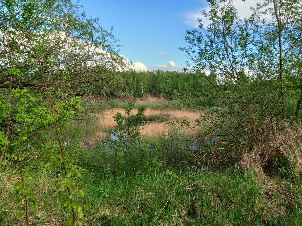 Когда-то здесь не было деревьев и водоёма.
Фото автора