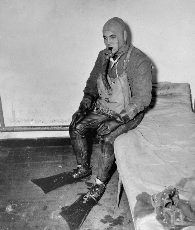 Изображение взято из открытого источника 