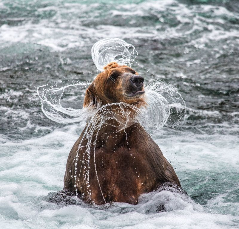 ����� ������� � ��������� ������ �������.