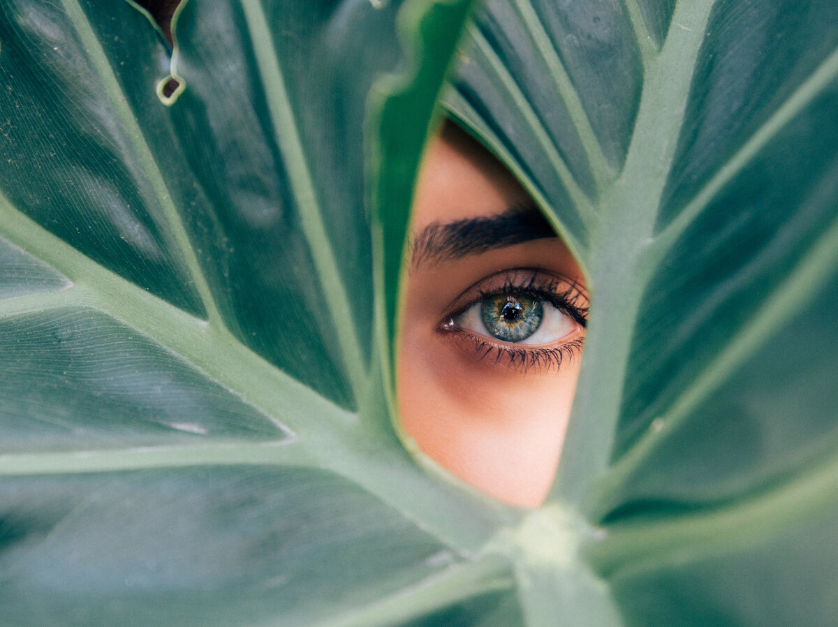 Источник фото: Drew Dizzy Graham на Unsplash