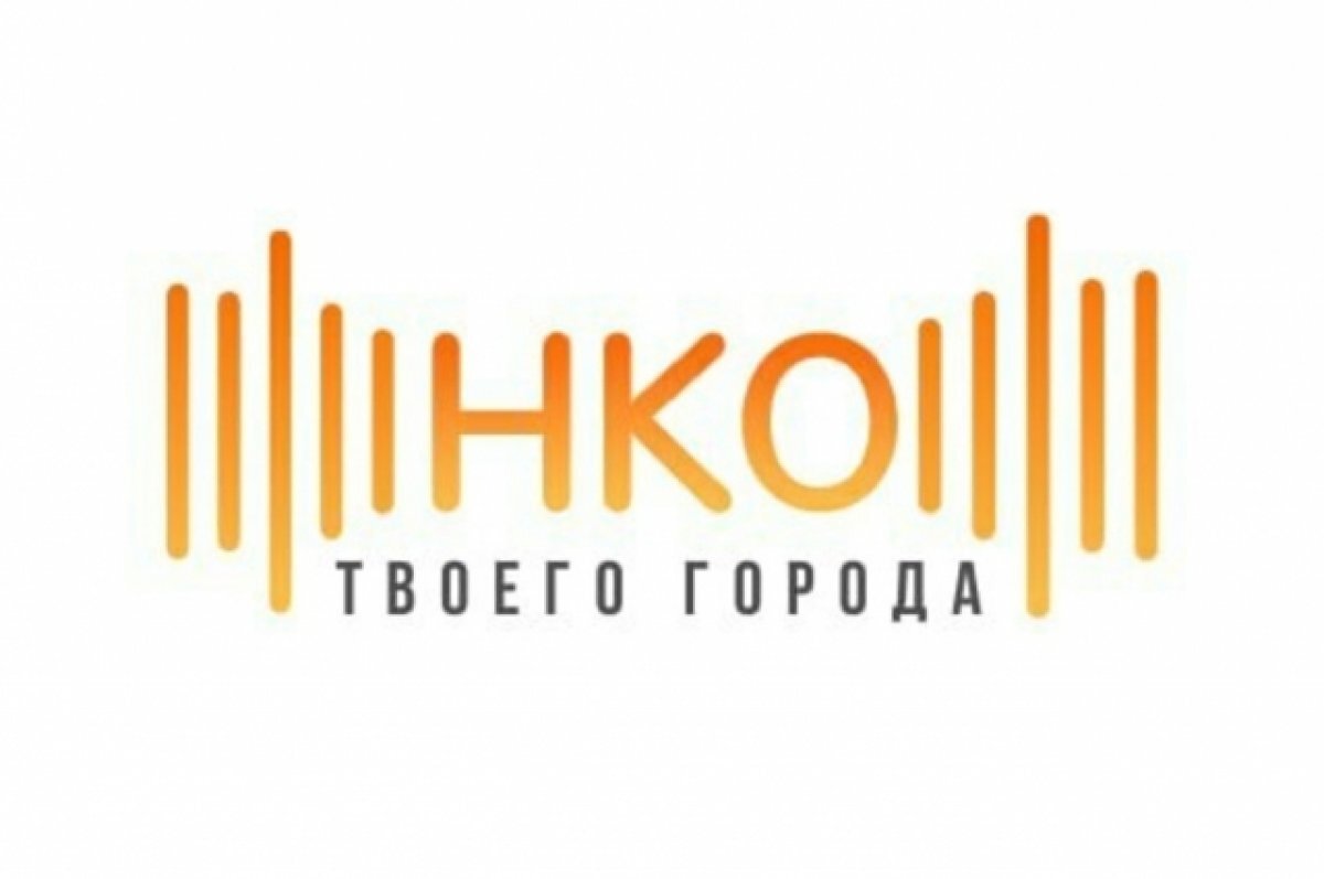    20 нижегородских НКО подучат поддержку в продвижении своих проектов