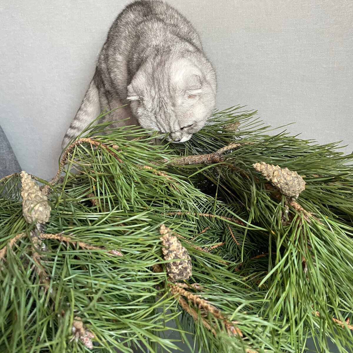 Вы очень поддержите меня, если подпишитесь на канал и поставите лайк. Спасибо ❤️ 