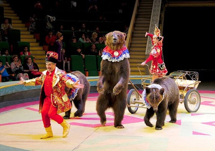 Выстпуления российских цирковых артистов пользуются в Туркменистане большой популярностью
