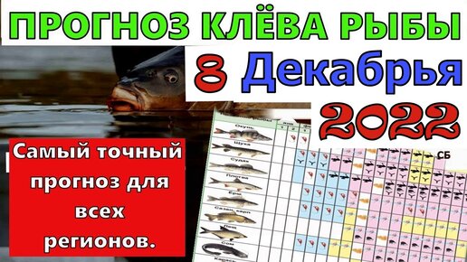 Прогноз клёва по лунному календарю на июнь июль 2020 Календарь, Луна, Полнолуние