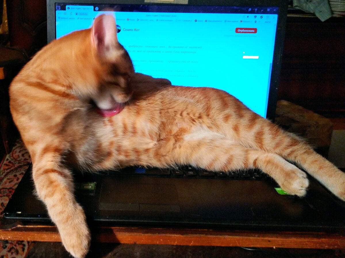 Личное  фото