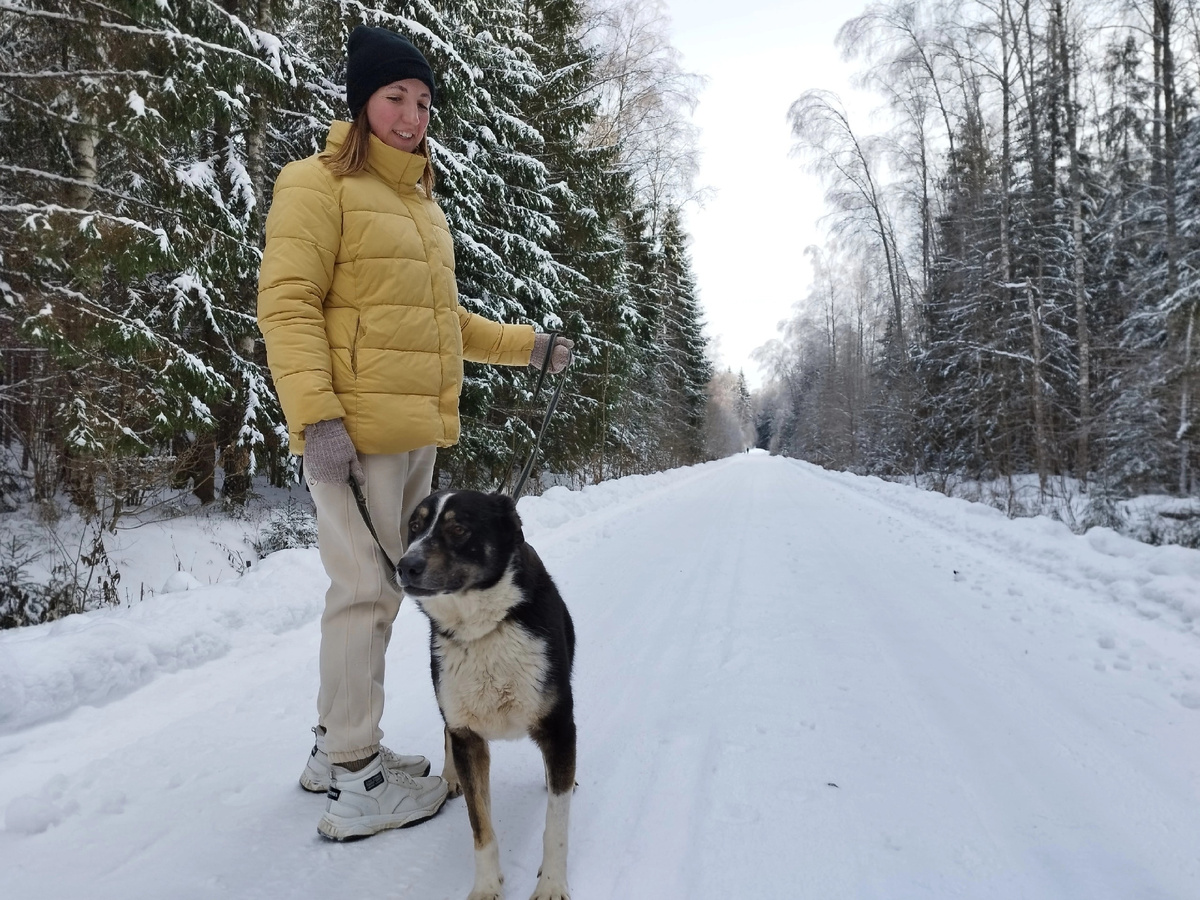 Фото Можайского приюта 