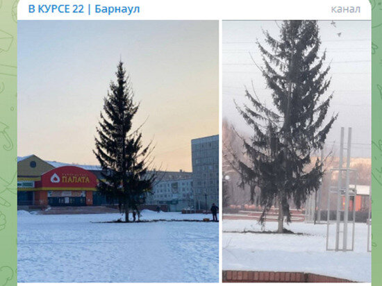     Фото: cкриншот видео