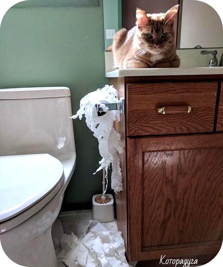 Источник: pinterest.com