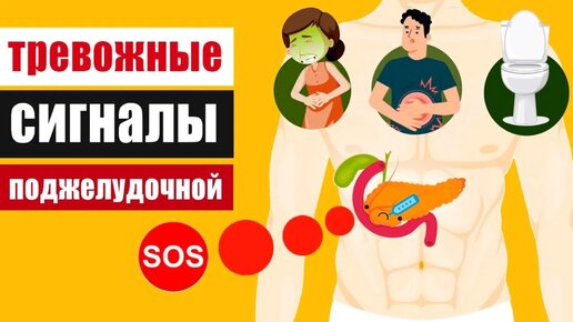 Как поджелудочная железа подаёт сигналы SOS