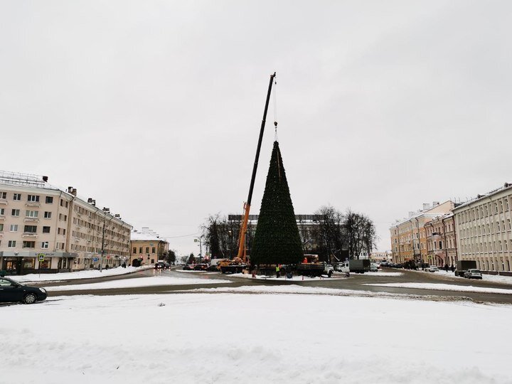     Вот так выглядит новогодняя красавица 8 декабря