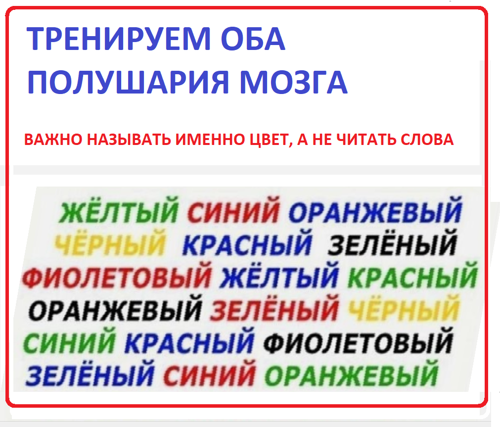 ТРЕНИРУЕМ МОЗГ.png