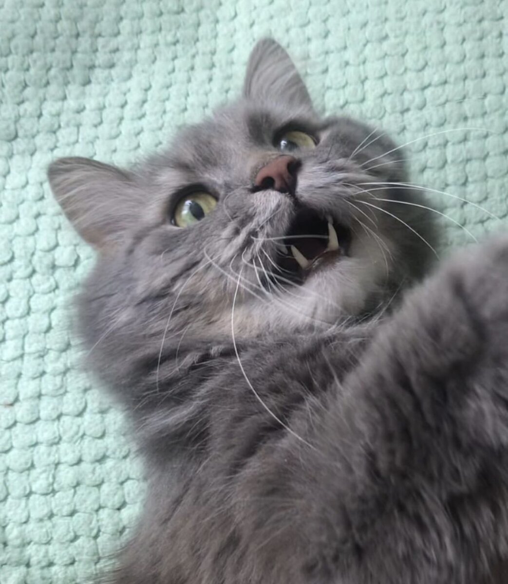 Фото Автора канала.