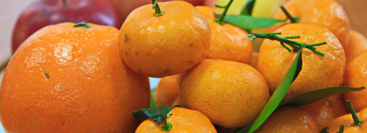 Фото: nsknews.info