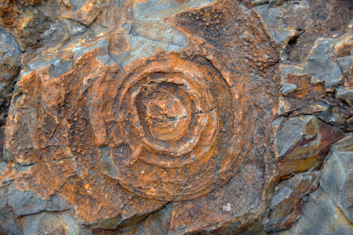 Фото Ольга Шадрина