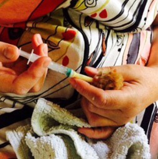 Это внучка снимала