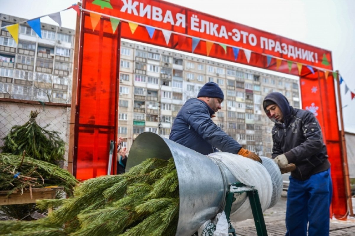 Елочный базар новосибирск. Живая или искусственная елка экология. Елочный базар Воронеж.