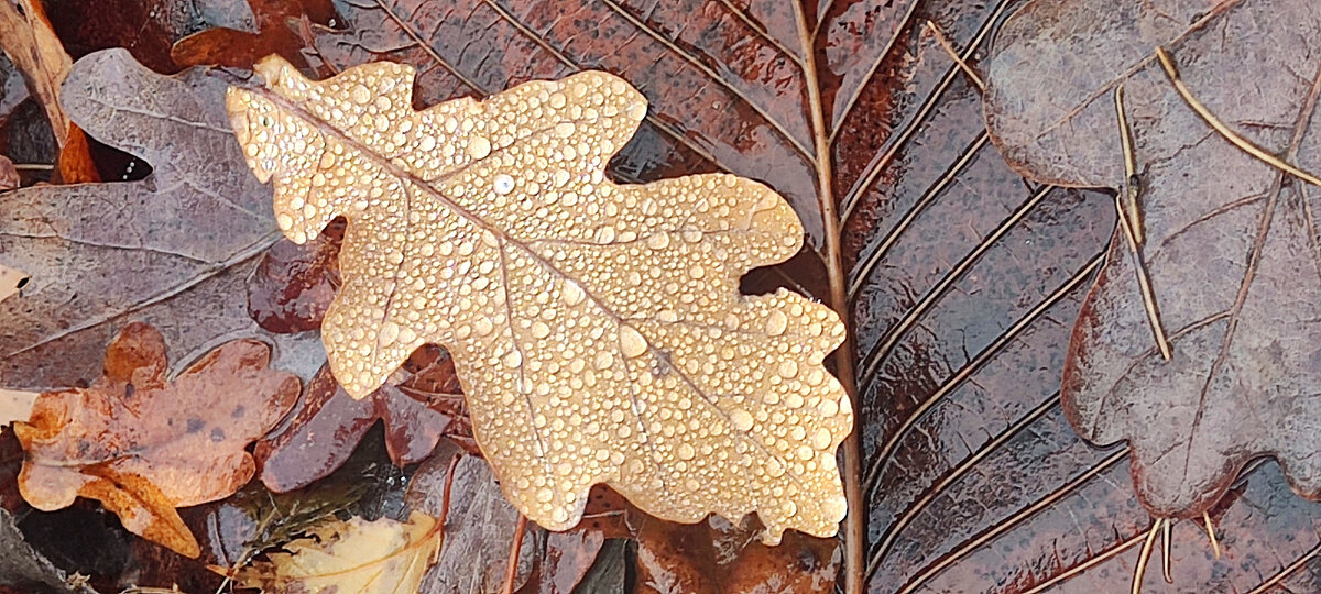 личное фото автора .