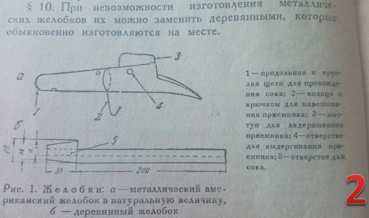 Как в СССР учились использовать берёзовый сок? | Катехизис и Катарсис | Дзен