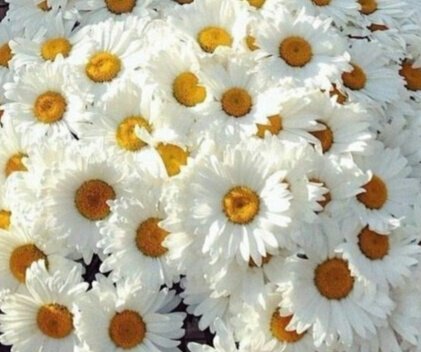 Фото из личного архива