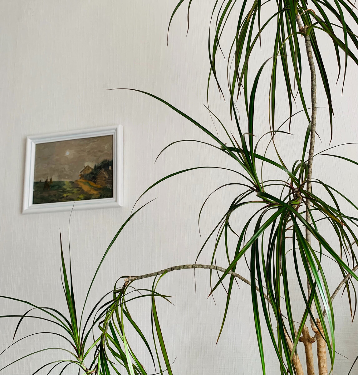 Фото моего декора 