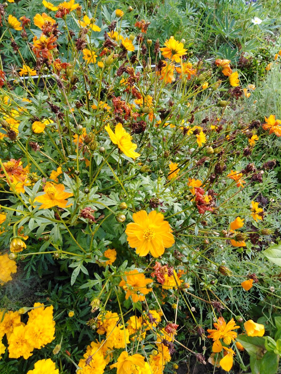 Солнечный сезон. Моё фото