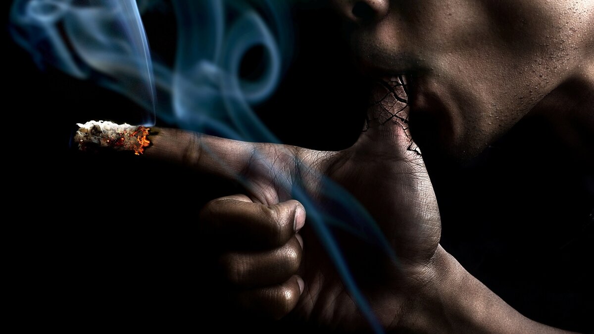 Курение сигар: мифы и вред. | Летопись современных лет. | Дзен