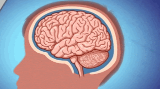Механизм травмирования мозга со стороны удара и по типу противоудара. Причём второй тип может привести к более тяжёлым травмам. 
