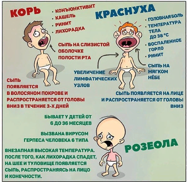 Яндекс Картинки