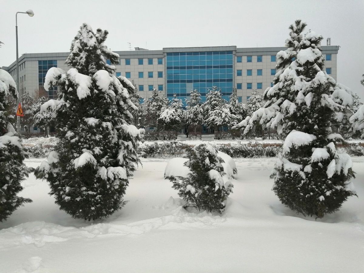 Улица Солнечная. Сквер напротив головного офиса всех Магнитов страны. 