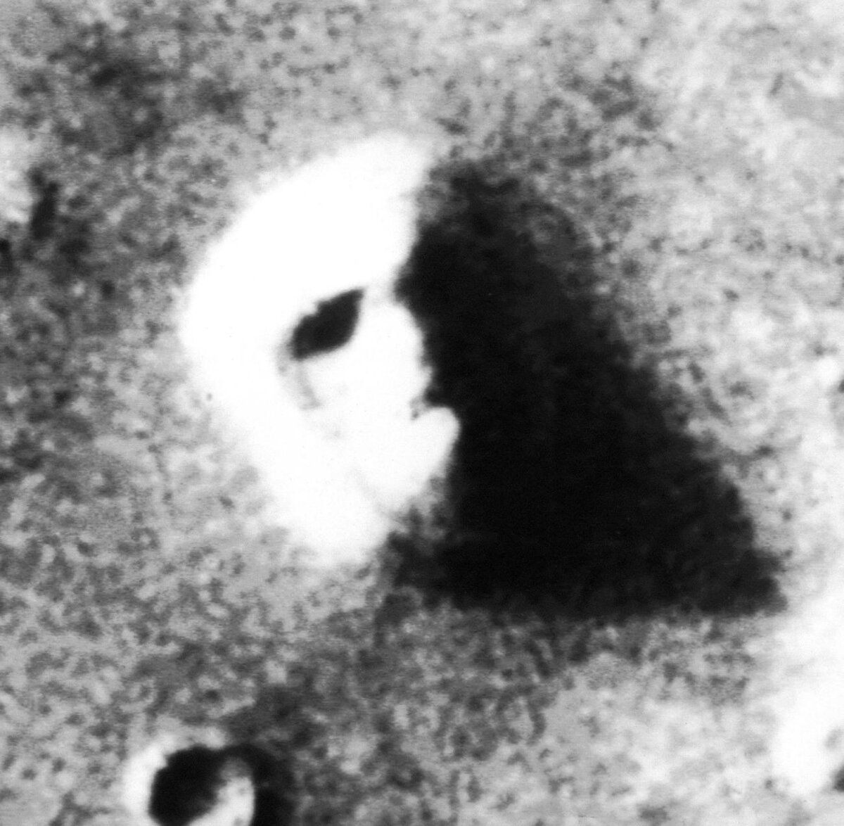 Пример парейдолии: pixabay.com